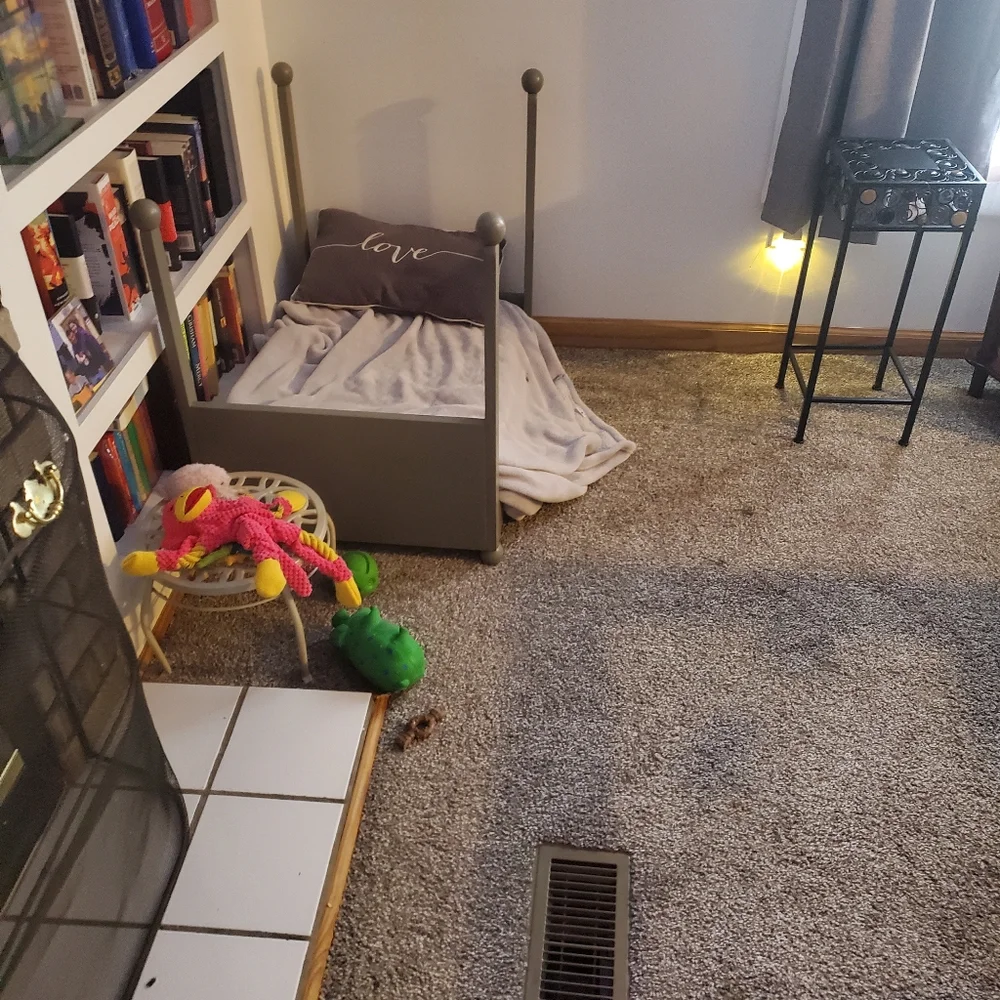 Handmade custom dog beds.